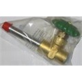 GLOBE VALVE