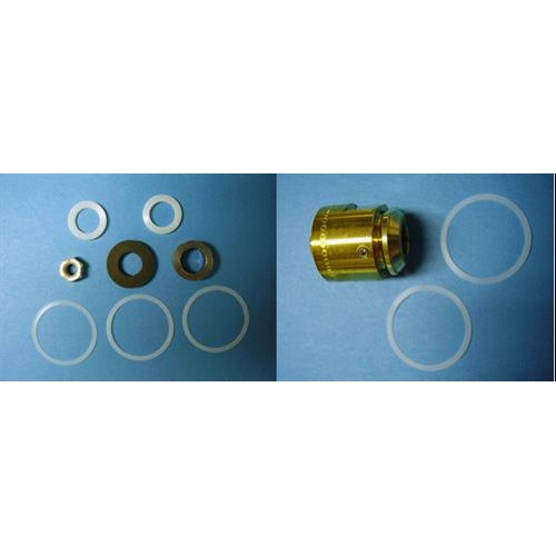 Set of sealing for Globe valve