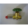 GLOBE VALVE