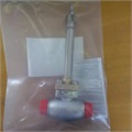 GLOBE VALVE-