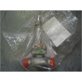 GLOBE VALVE-