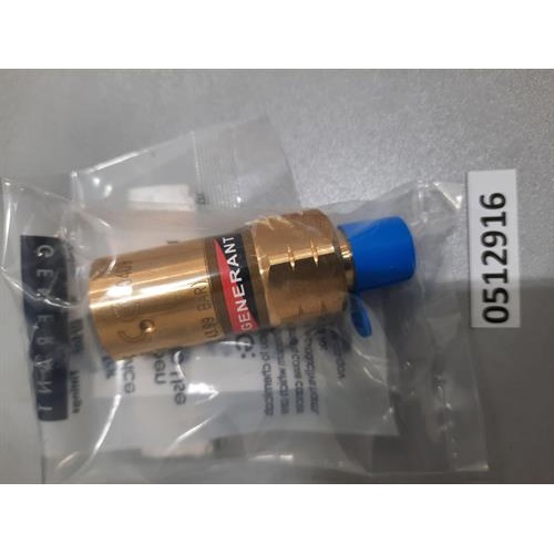 THERMAL RELIEF VALVE