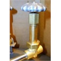 GLOBE VALVE- LONG STEM-