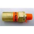 Pressure Relief Valve GENERANT