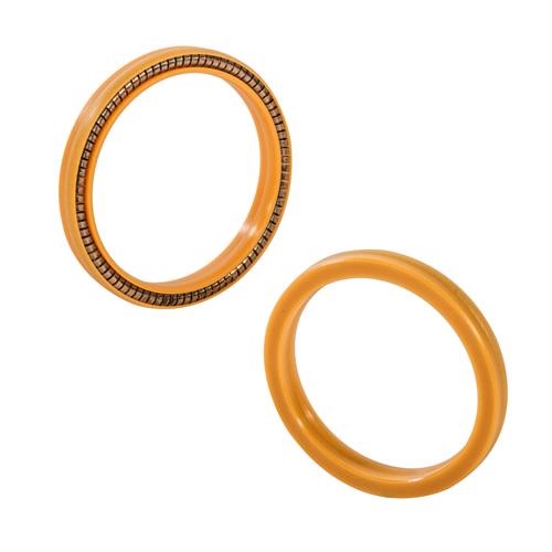 Seal, Spring Enegrgized 50GPM